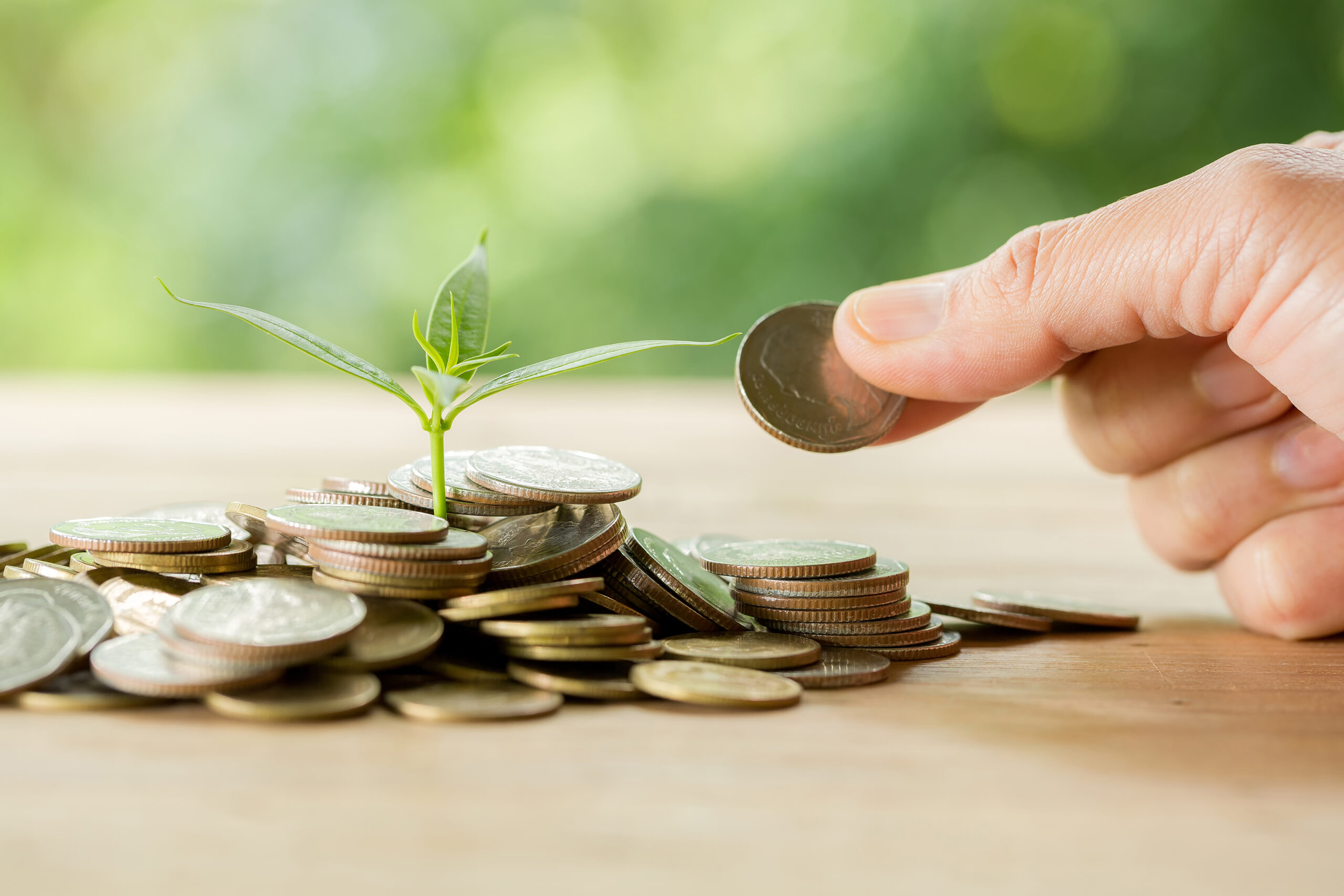 zakat mal